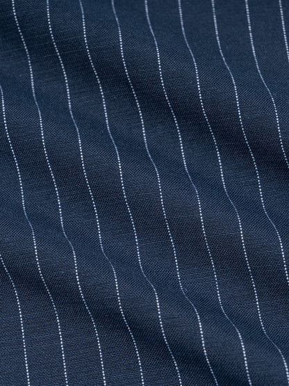 Striped Pleated Pants